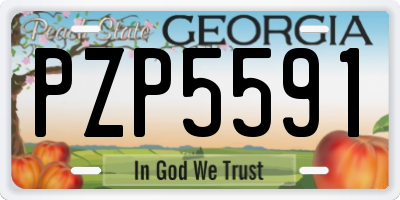 GA license plate PZP5591