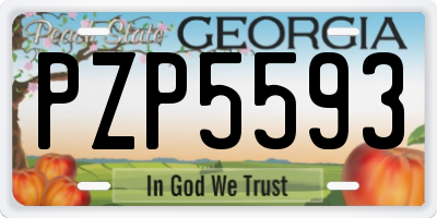 GA license plate PZP5593