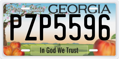 GA license plate PZP5596