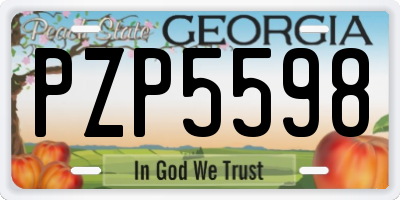 GA license plate PZP5598