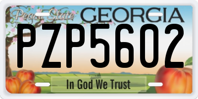GA license plate PZP5602