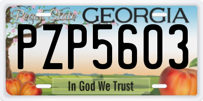 GA license plate PZP5603