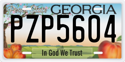 GA license plate PZP5604