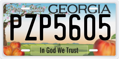 GA license plate PZP5605