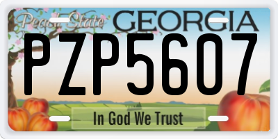 GA license plate PZP5607