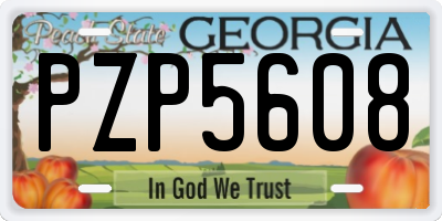 GA license plate PZP5608