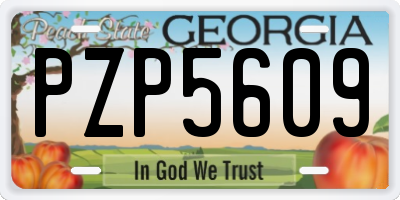 GA license plate PZP5609