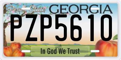 GA license plate PZP5610