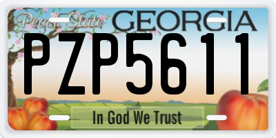 GA license plate PZP5611
