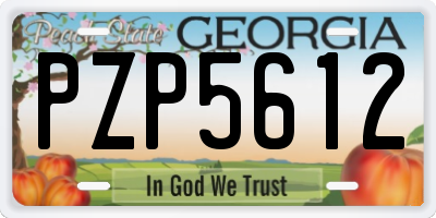 GA license plate PZP5612