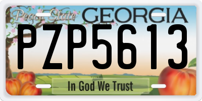 GA license plate PZP5613
