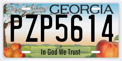 GA license plate PZP5614