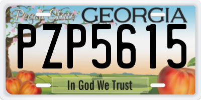 GA license plate PZP5615