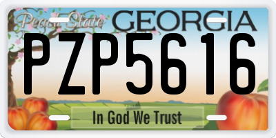 GA license plate PZP5616