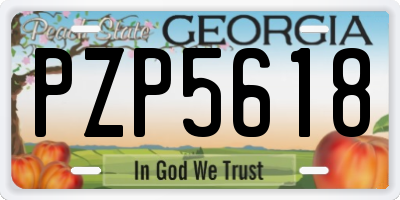 GA license plate PZP5618