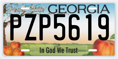 GA license plate PZP5619