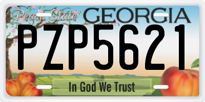 GA license plate PZP5621