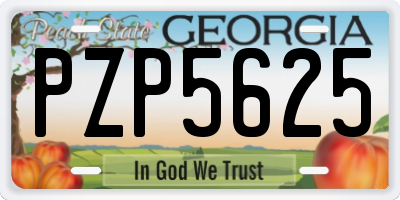 GA license plate PZP5625