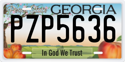 GA license plate PZP5636