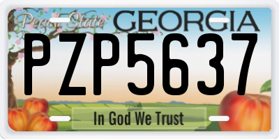 GA license plate PZP5637
