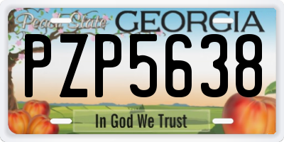GA license plate PZP5638