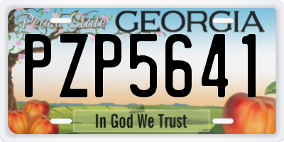 GA license plate PZP5641