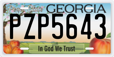 GA license plate PZP5643