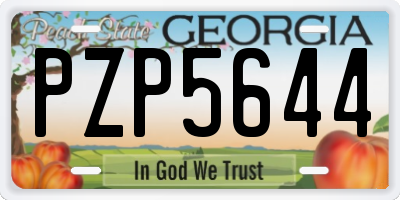 GA license plate PZP5644