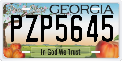 GA license plate PZP5645