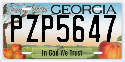 GA license plate PZP5647