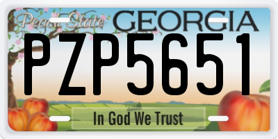 GA license plate PZP5651