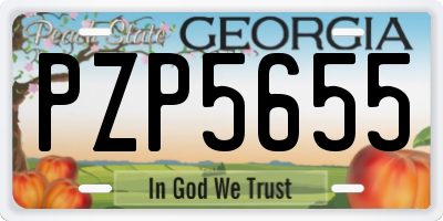 GA license plate PZP5655