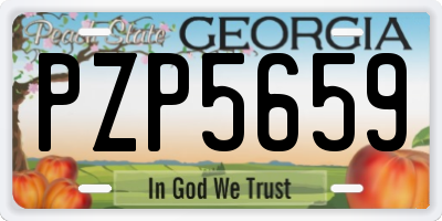 GA license plate PZP5659