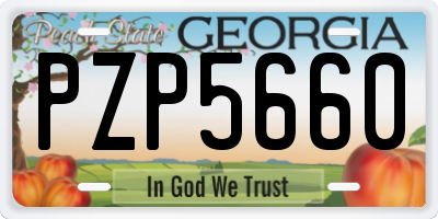 GA license plate PZP5660