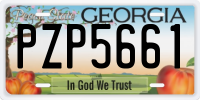 GA license plate PZP5661