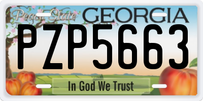 GA license plate PZP5663
