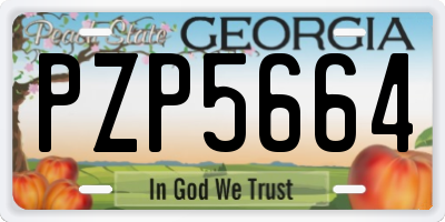 GA license plate PZP5664
