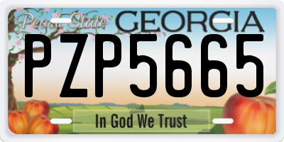 GA license plate PZP5665