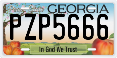 GA license plate PZP5666
