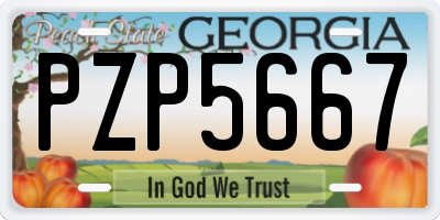 GA license plate PZP5667