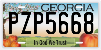 GA license plate PZP5668