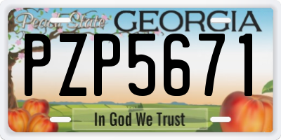 GA license plate PZP5671