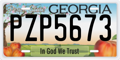 GA license plate PZP5673