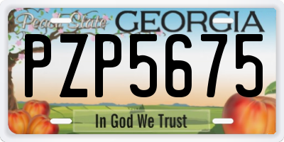 GA license plate PZP5675