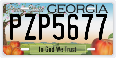 GA license plate PZP5677