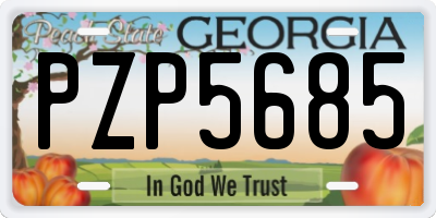GA license plate PZP5685