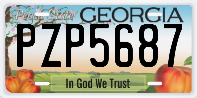GA license plate PZP5687