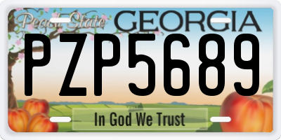GA license plate PZP5689