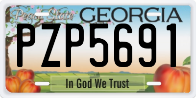 GA license plate PZP5691