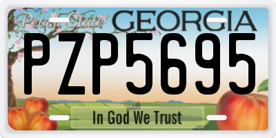 GA license plate PZP5695
